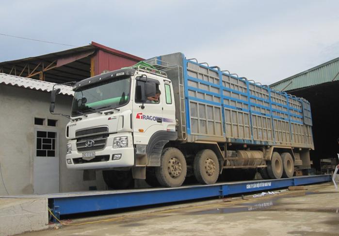 cân xe điện tử ô tô